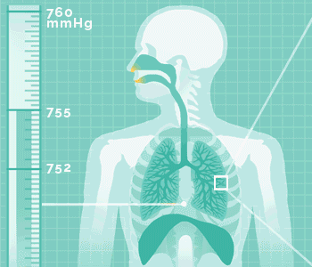 “恢復(fù)肺動力 激活免疫力” 慢阻肺患者送福利活動
