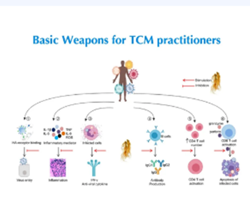 新聞聯(lián)播｜廣安門醫(yī)院專家受邀參加“全球疫情會診室”網(wǎng)絡(luò)直播，為抗擊疫情貢獻(xiàn)中國方案