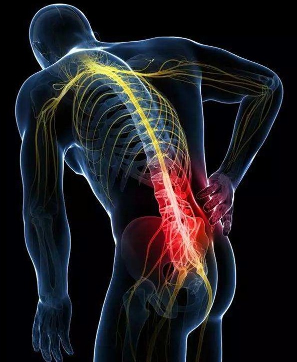 微信圖片_20200731161047 微信圖片_20200731161047