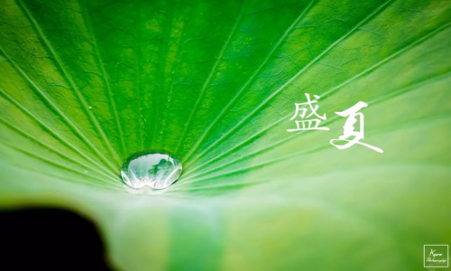 別在盛夏凍出病，這招治慢病，“不伏不行”