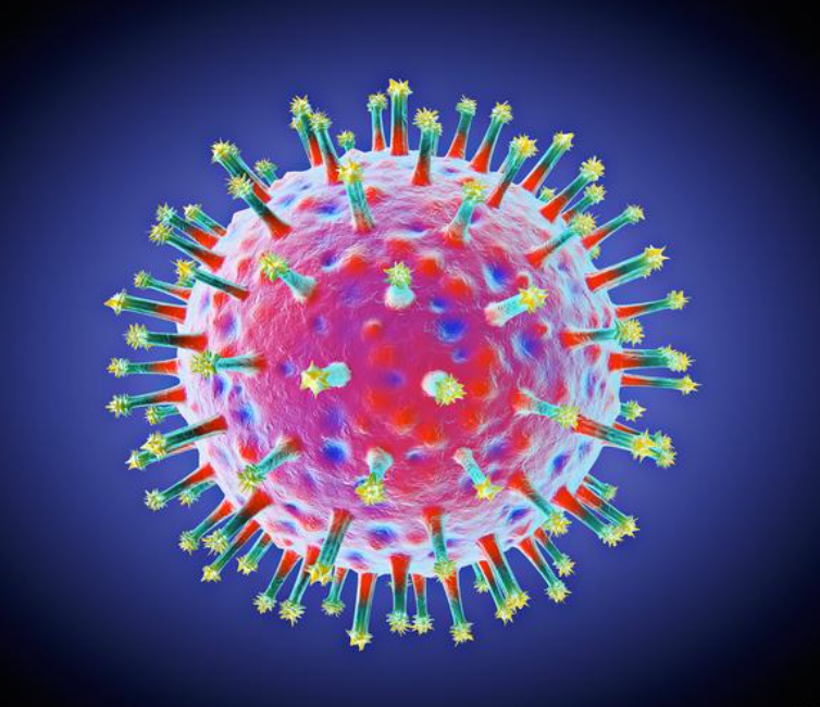 不要以為下場(chǎng)雪病毒就消失了？了解TTS，增強(qiáng)免疫力，預(yù)防病毒感染。